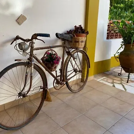 Casinha Da Avo Rosario