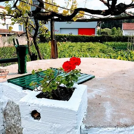 Lejlighed Casinha Da Avo Rosario Juncal (Leiria)