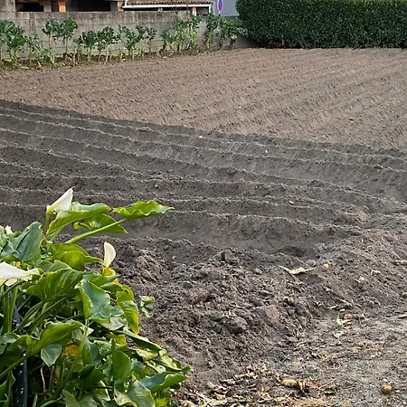 Casinha Da Avo Rosario