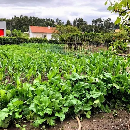 Casinha Da Avo Rosario Apartament