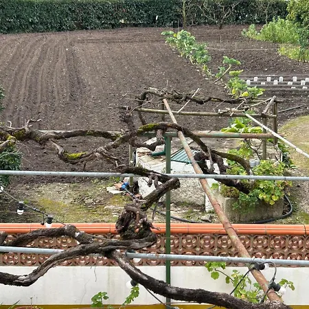 Appartement Casinha Da Avo Rosario Juncal (Leiria)