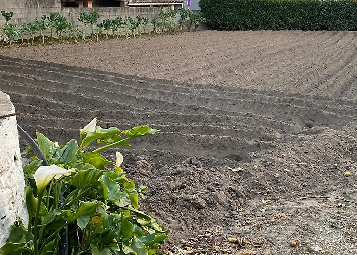 Casinha Da Avo Rosario