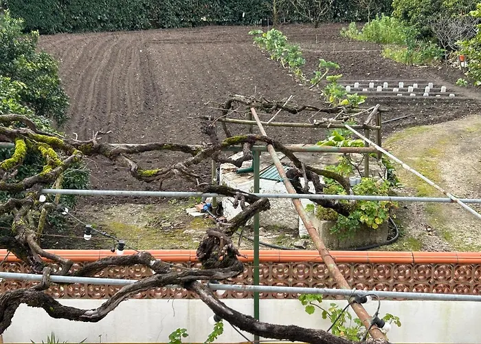 Appartement Casinha Da Avo Rosario Juncal (Leiria)